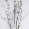 Artificial Flower 13*118cm  branches GS-26219124-H1