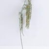 Artificial Flower 10*79cm bristlegrass spray GS-57619015