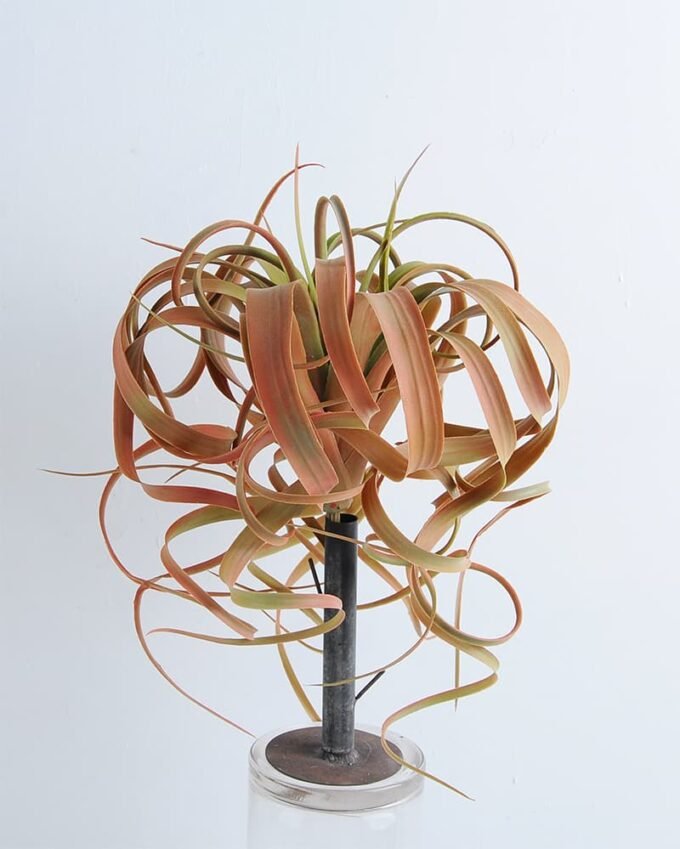 Artificial Plant 23*30CM AIR GRASS (S) GS-58419006