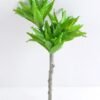 Artificial Plant 16*36cm Aloe*3 GS-47119033-G1