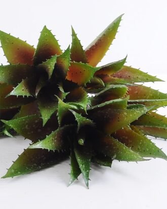 Artificial Plant 25*58cm Aloe*5 GS-47119019-G3