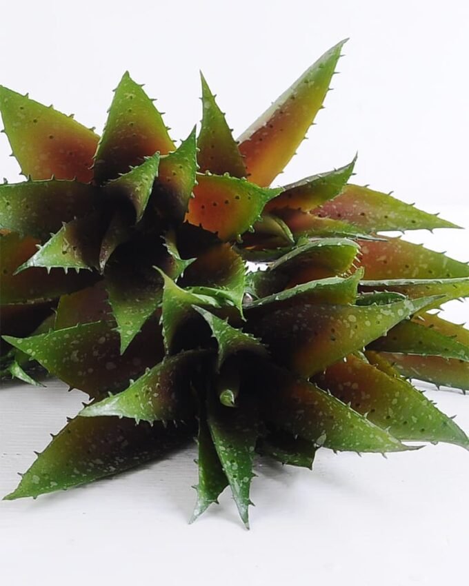 Artificial Plant 25*58cm Aloe*5 GS-47119019-G3