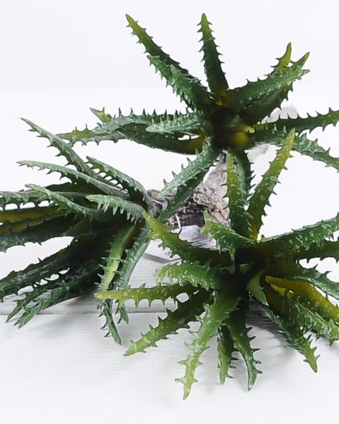 Artificial Plant 19*36cm Aloe(S)*3 GS-47119028-G1