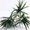 Artificial Plant 20*54cm Aloe(S)*5 GS-47119018-G1