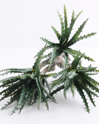 Artificial Plant 20*54cm Aloe(S)*5 GS-47119018-G1