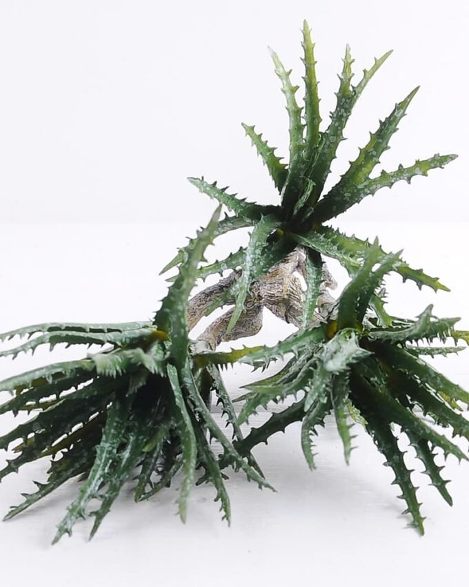 Artificial Plant 20*54cm Aloe(S)*5 GS-47119018-G1