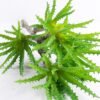Artificial Plant 20*54cm Aloe(S)*5 GS-47119018-G2