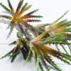 Artificial Plant 20*54cm Aloe(S)*5 GS-47119018-G3