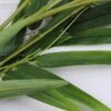 Artificial Plant 40*147CM Bamboo leaf GS-14619008