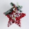 Artificial Plant 13*15*7CM Berries Star GS-56919035 1 Artificial Plant 13*15*7CM Berries Star GS-56919035