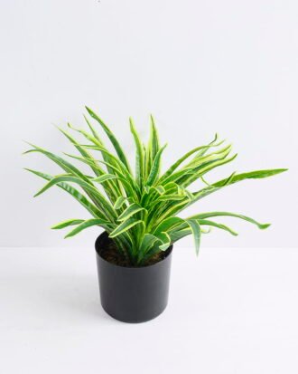 Artificial Plant 37*37*29cm Chlorophytum in Plastic pot GS-03319395