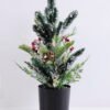 Artificial Plant 35*25*48cm Christmas tree in the plastic pot GS-13519002 1 Artificial Plant 35*25*48cm Christmas tree in the plastic pot GS-13519002