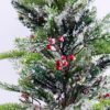 Artificial Plant 42*39*88CM Christmas tree in the plastic pot GS-13519007 2 Artificial Plant 42*39*88CM Christmas tree in the plastic pot GS-13519007
