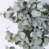 Artificial Plant 20*47CM Eucalyptus Bush*6 GS-54019063