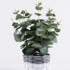 Artificial Plant 25*25*35.5cm Eucalyptus in Basket GS-03319346