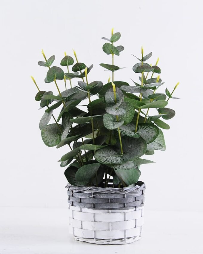 Artificial Plant 25*25*35.5cm Eucalyptus in Basket GS-03319346
