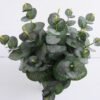 Artificial Plant 25*25*35.5cm Eucalyptus in Basket GS-03319346