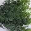 Artificial Plant 40*57cm Fern Bush*9 GS-54019076