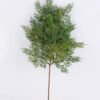 Artificial Plant 25*52cm Fern Spray*15 GS-54019075