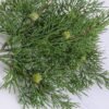 Artificial Plant 22*40cm Fern Spray*8 GS-54019077