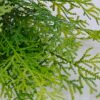Artificial Plant 22*46CM Grass Bush*6 GS-56919100