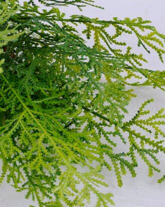 Artificial Plant 22*46CM Grass Bush*6 GS-56919100