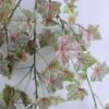 Artificial Plant 39*73cm Ivy Hanging*3 GS-09819056-R1
