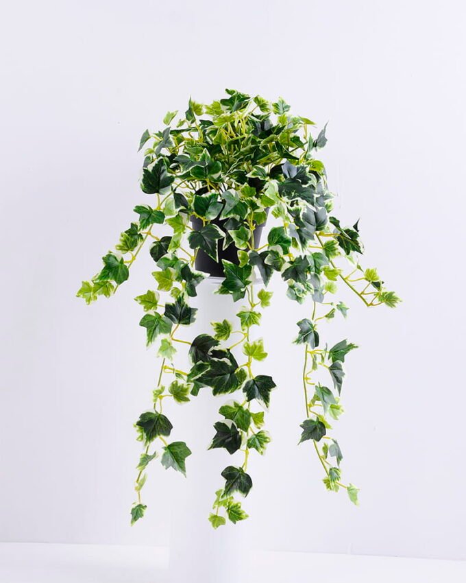 Artificial Plant H:37*29*38CM Ivy garland in plastic pot GS-0338958P4P48-G2