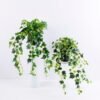 Artificial Plant H:37*29*38CM Ivy garland in plastic pot GS-0338958P4P48