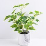 Artificial Plant 28*28*35cm Ivy in Cement Pot GS-03319366