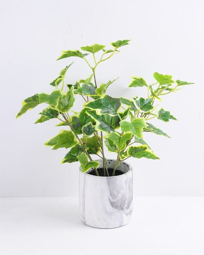 Artificial Plant 28*28*35cm Ivy in Cement Pot GS-03319366