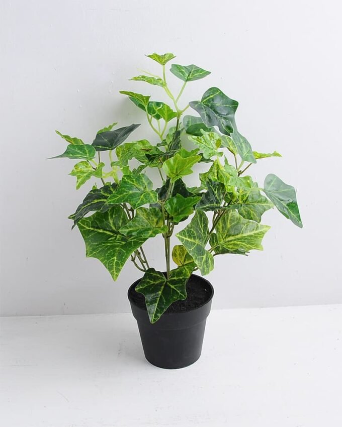 Artificial Plant 28*28*35cm Ivy in Plastic pot GS-03319359