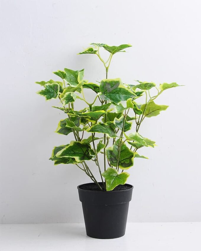 Artificial Plant 28*28*35cm Ivy in Plastic pot GS-03319360