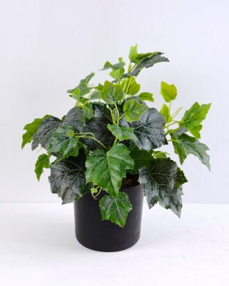Artificial Plant 30*30*34cm Leaf in plastic pot GS-03319383