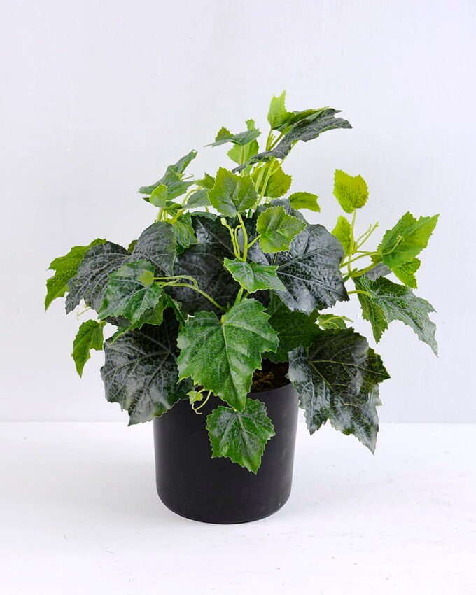 Artificial Plant 30*30*34cm Leaf in plastic pot GS-03319383