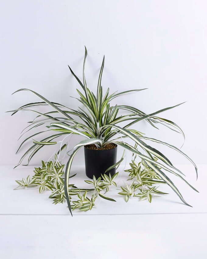 Artificial Plant 58*58*56cm Leaf in plastic pot GS-03319388