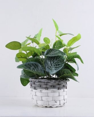 Artificial Plant 26*26*32cm Leaves in Basket GS-03319345