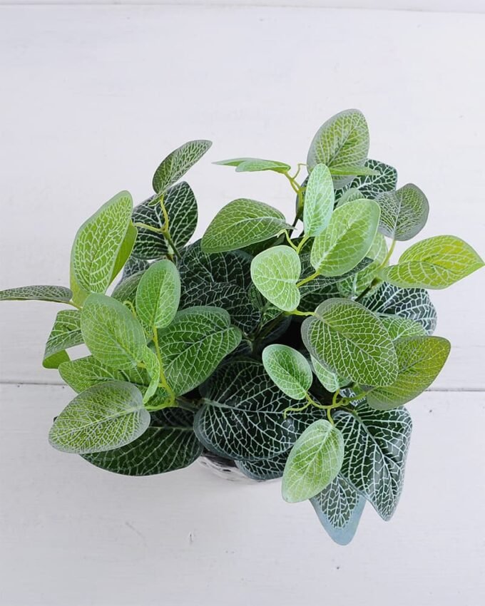 Artificial Plant 26*26*32cm Leaves in Basket GS-03319345