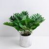Artificial Plant 34*34*25cm Leaves in Cement Pot GS-03319347