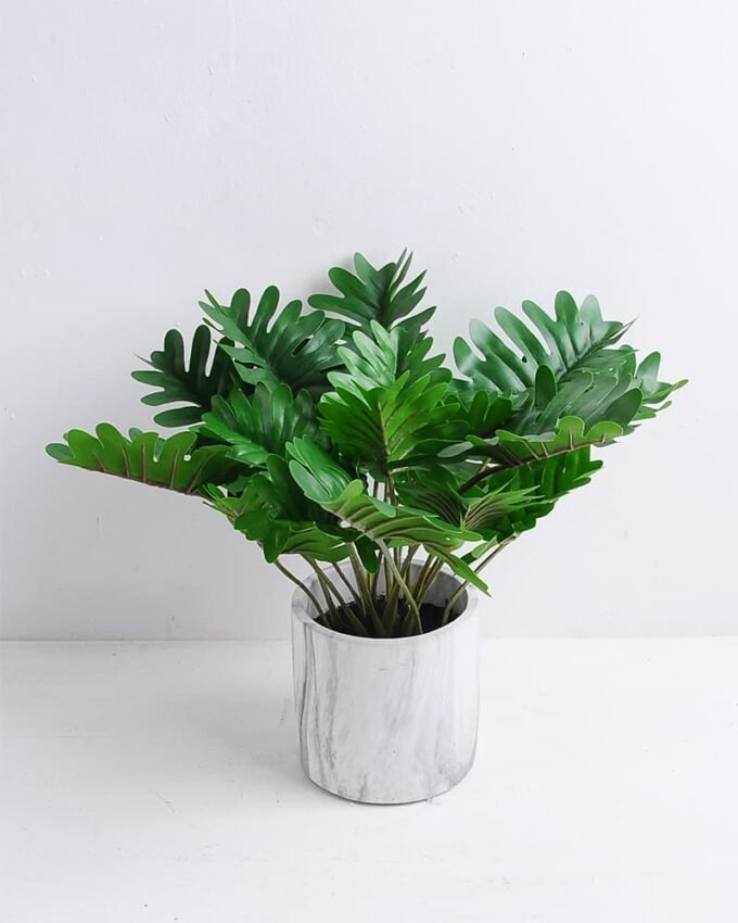 Artificial Plant 34*34*25cm Leaves in Cement Pot GS-03319347