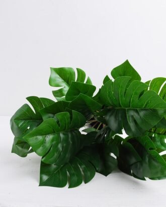 Artificial Plant 34*34*28cm Leaves in Cement Pot GS-03319348