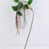 Artificial Plant 10*100CM Long bean spray*7 GS-48719001-Z1