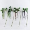 Artificial Plant 10*100CM Long bean spray*7 GS-48719001-Z1