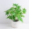 Artificial Plant 37*37*37cm Maple Leaf in Cement Pot GS-03319361