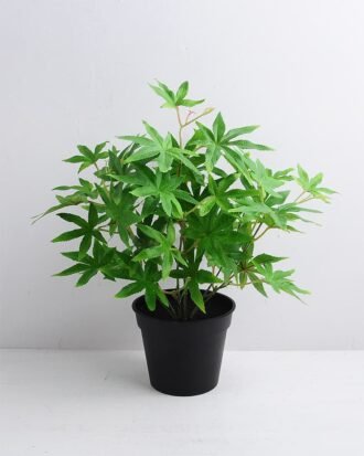 Artificial Plant 34*34*36cm Maple Leaf in Plastic pot GS-03319357
