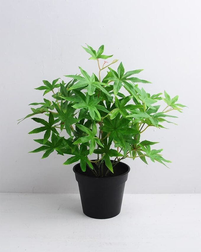 Artificial Plant 34*34*36cm Maple Leaf in Plastic pot GS-03319357