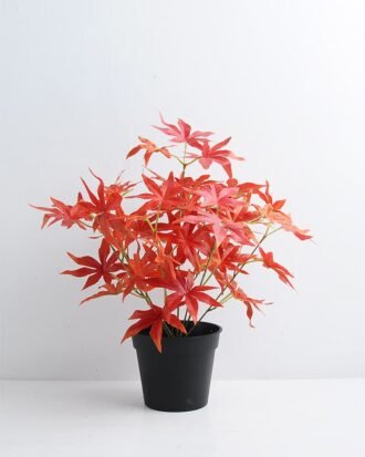 Artificial Plant 34*34*36cm Maple Leaf in Plastic pot GS-03319358
