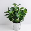Artificial Plant 34*34*35cm Peperomia in Cement Pot GS-03319363