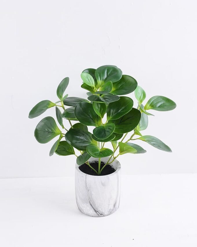 Artificial Plant 31*31*32cm Peperomia in Cement Pot GS-03319368