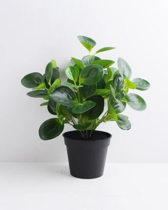 Artificial Plant 31*31*36cm Peperomia in Plastic Pot GS-03319364